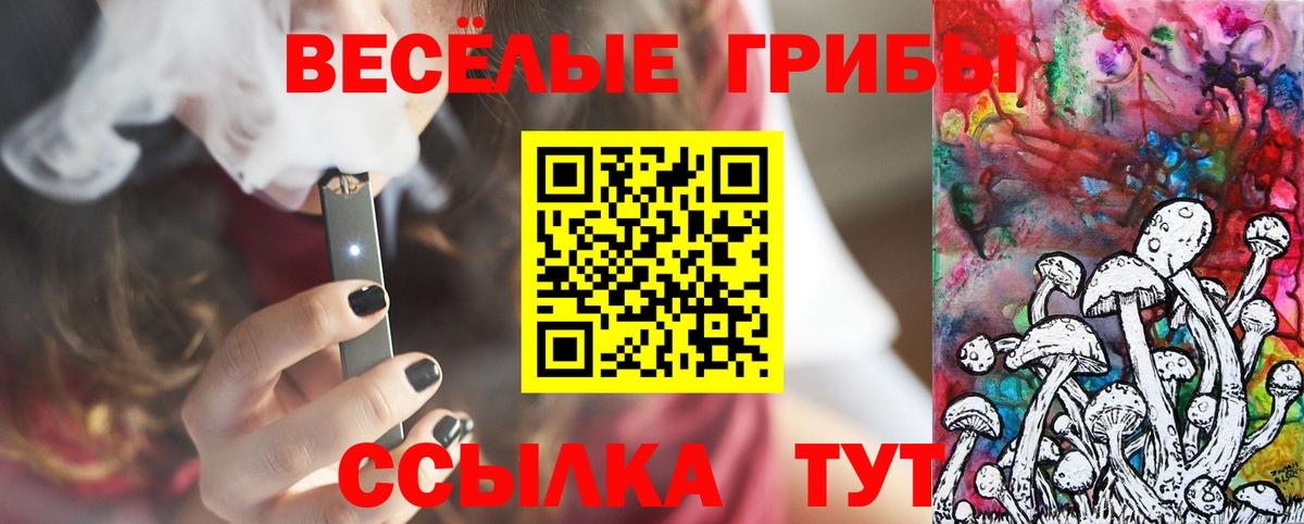 Псилоцибиновые грибы Cubensis Прохладный